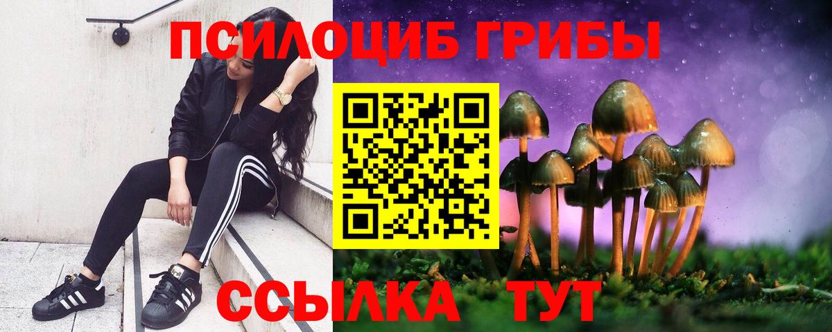 Псилоцибиновые грибы Psilocybe  Вход с VPN  Тамбов 