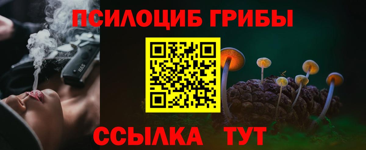 Галлюциногенные грибы ЛСД Тамбов